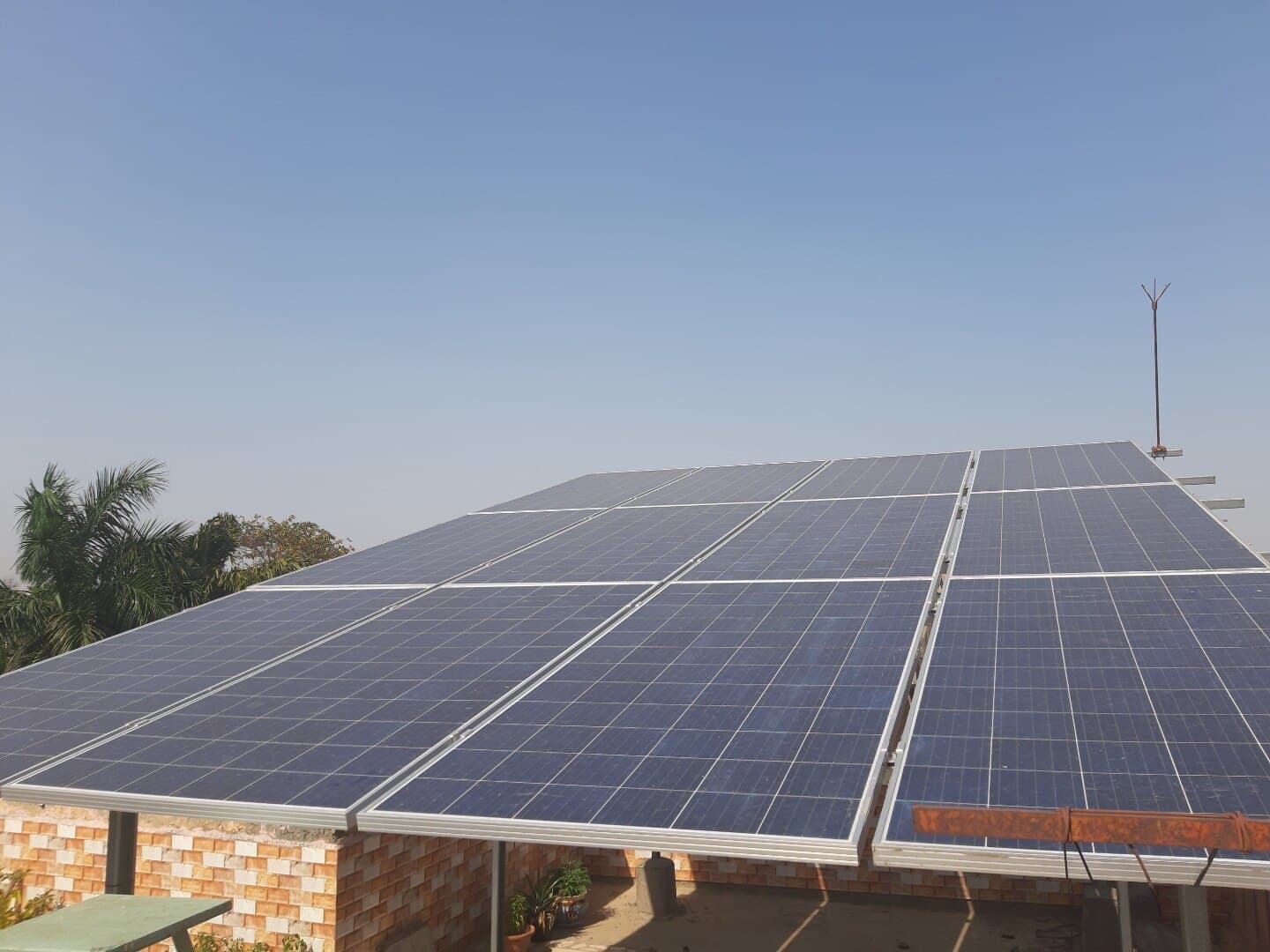 Rows of solar panels on a raised structure above a brick-walled rooftop terrace, palm trees beyond.