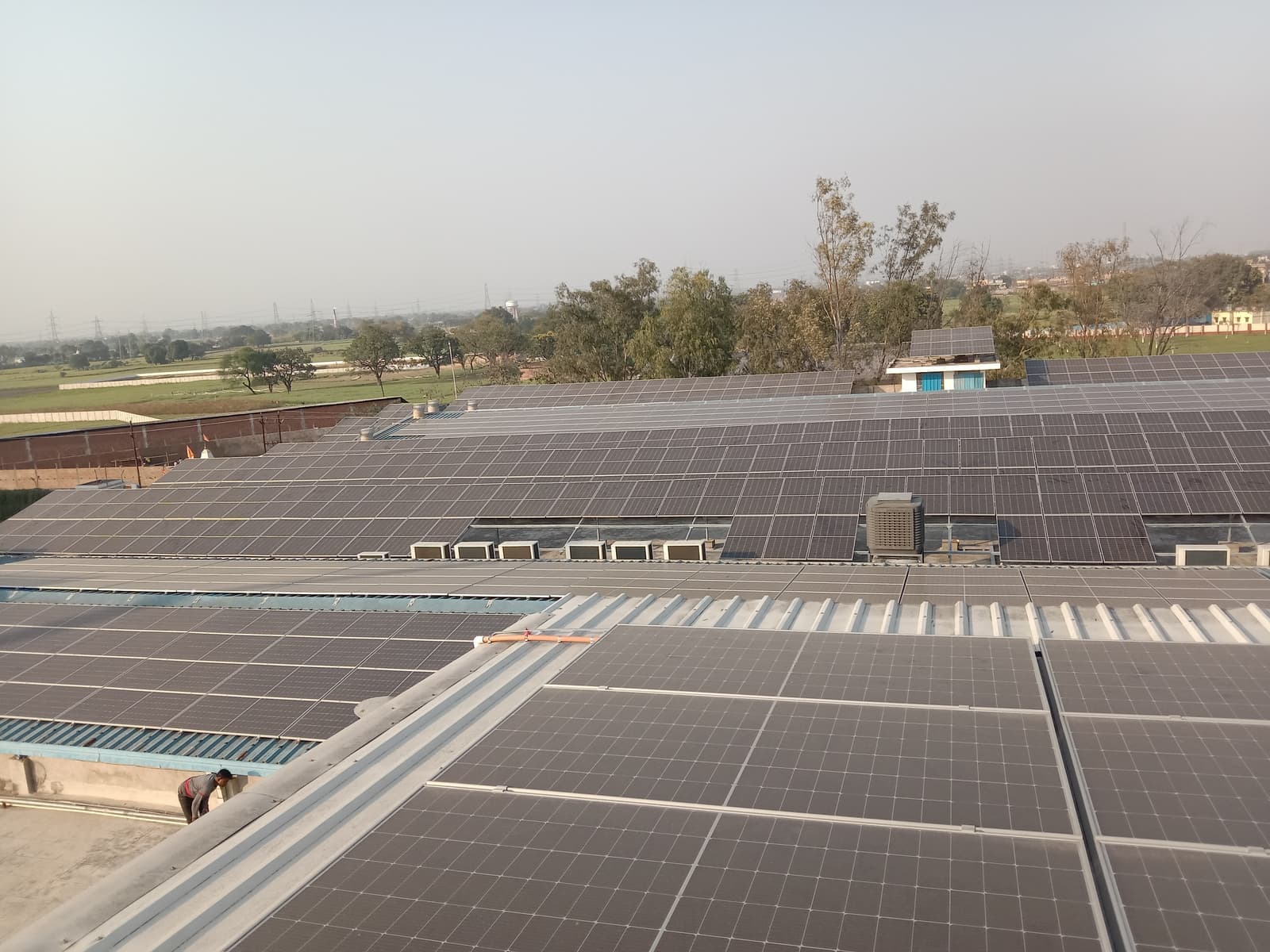 Rows of solar panels covering sloped industrial shed roofs with open fields and trees beyond